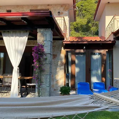 Stone Chalkidiki Βίλα *