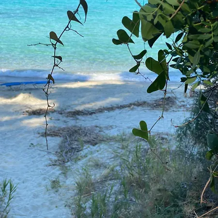 Stone Chalkidiki Vilă *