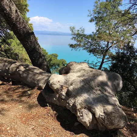 别墅 Stone Chalkidiki 克里皮吉