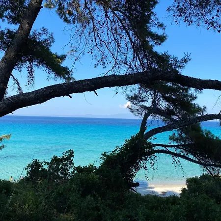 别墅 Stone Chalkidiki *